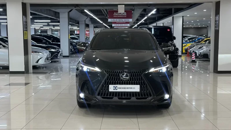Lexus NX450h+