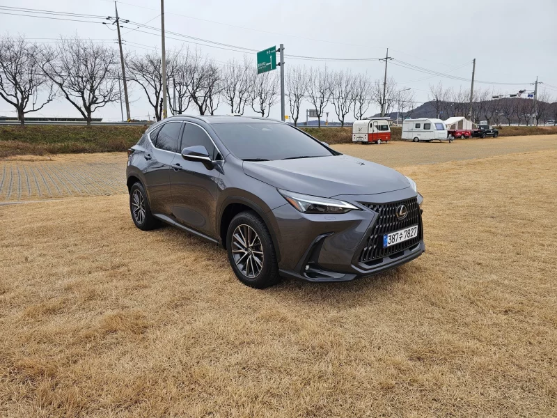 Lexus NX450h+