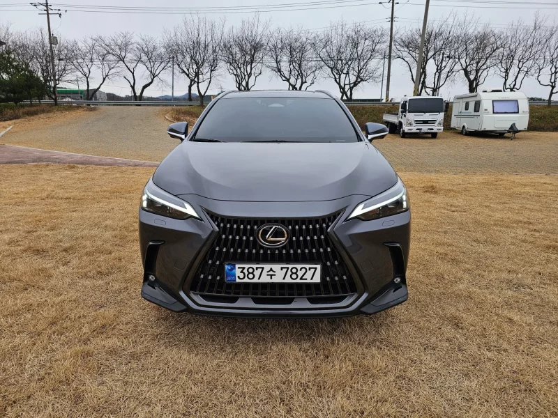 Lexus NX450h+