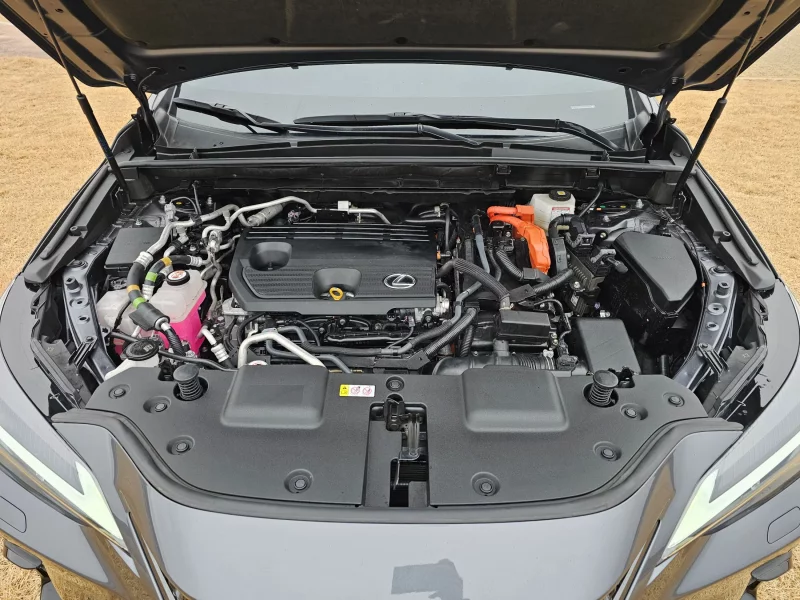 Lexus NX450h+