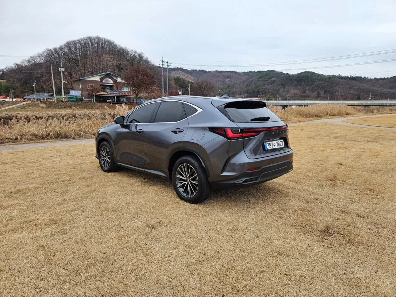 Lexus NX450h+