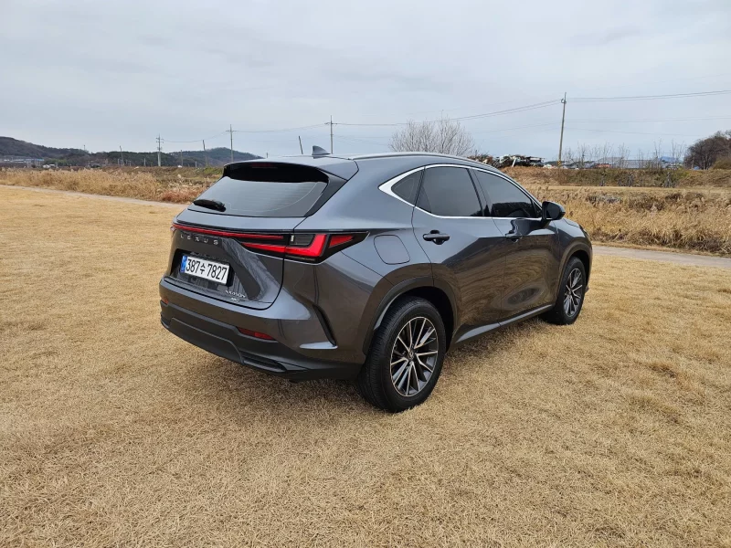 Lexus NX450h+
