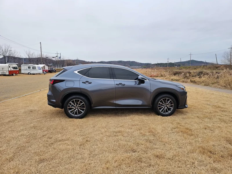 Lexus NX450h+