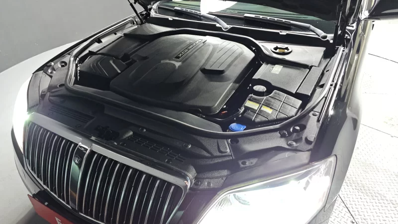 SsangYong Chairman W