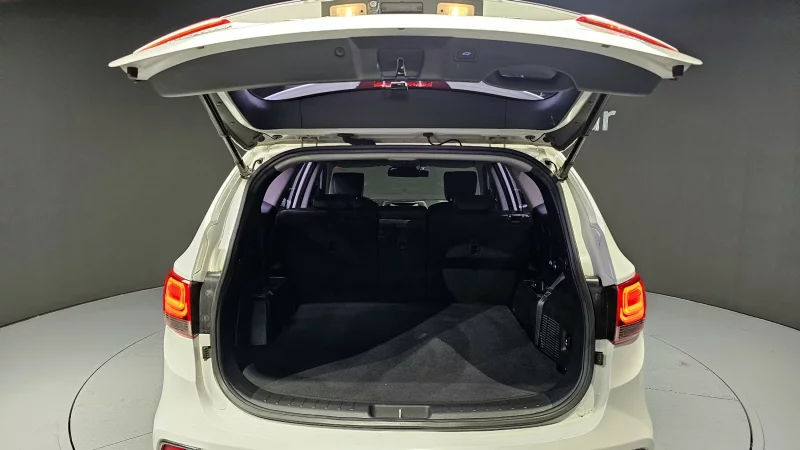 Hyundai Maxcruze