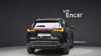 Lexus NX450h+