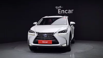 Lexus NX300h