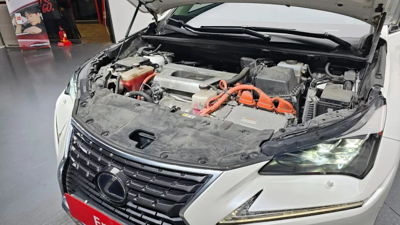 Lexus NX300h
