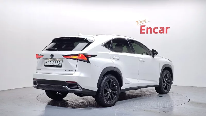 Lexus NX300h