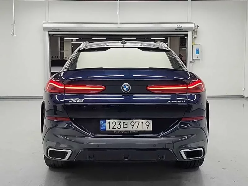BMW X6