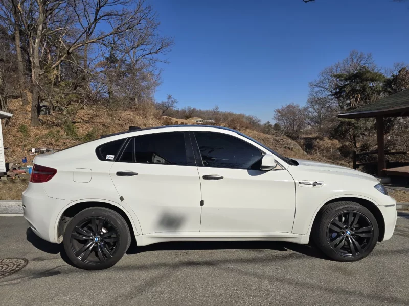 BMW X6 M