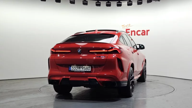 BMW X6 M