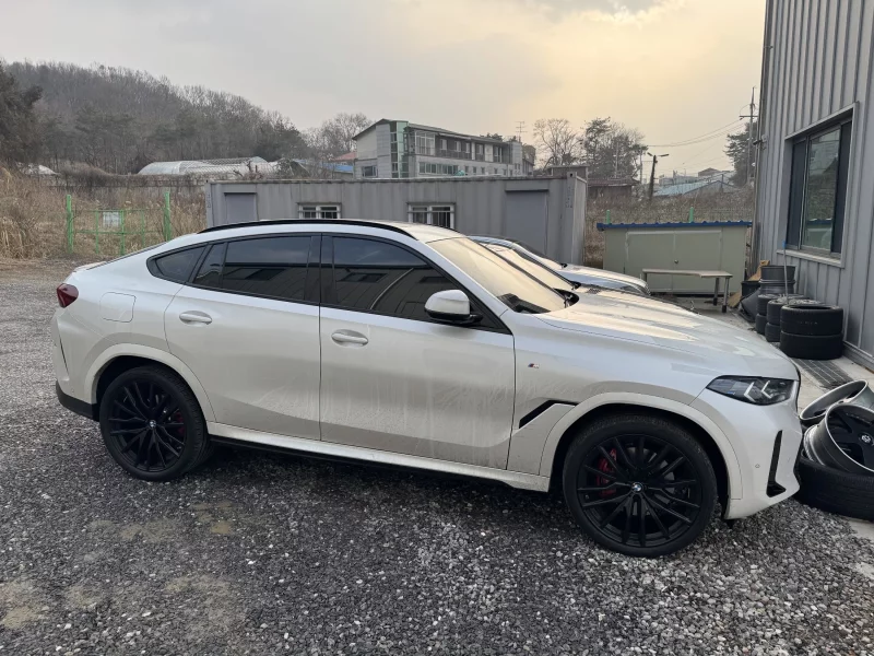BMW X6