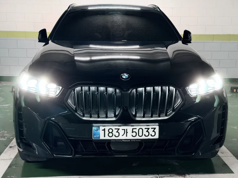 BMW X6