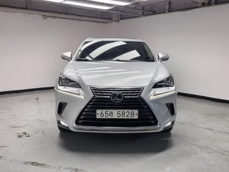 Lexus NX300h