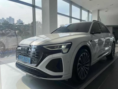 Audi Q8 E-TRON 2024