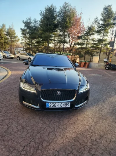 Jaguar XF