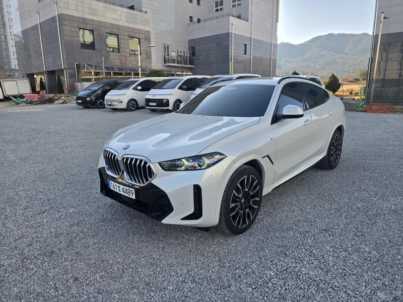 BMW X6