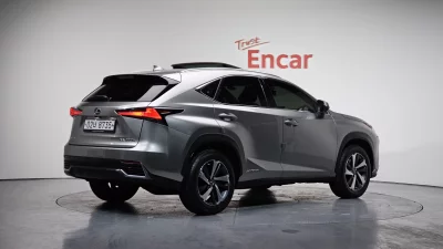 Lexus NX300h