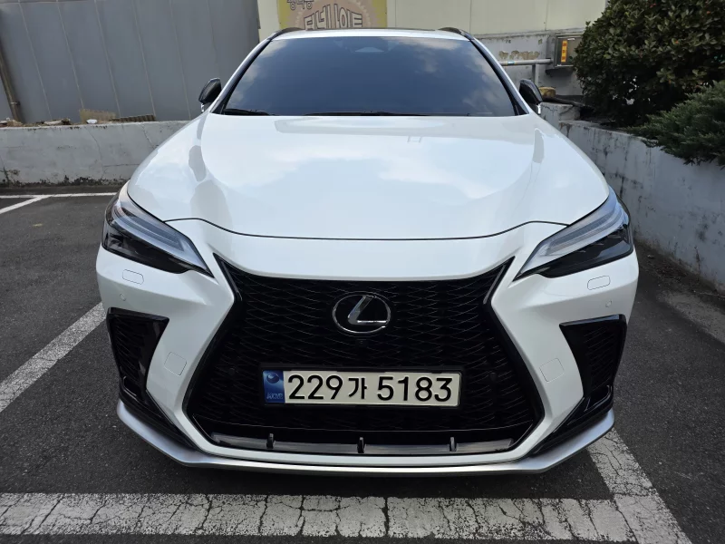 Lexus NX450h+