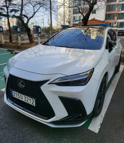 Lexus NX450h+