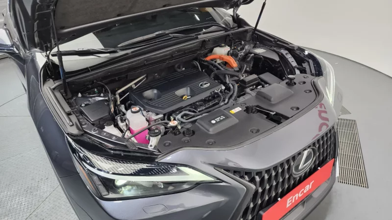 Lexus NX350h