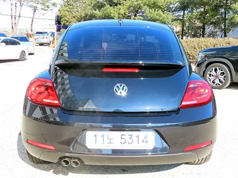 Volkswagen BEETLE