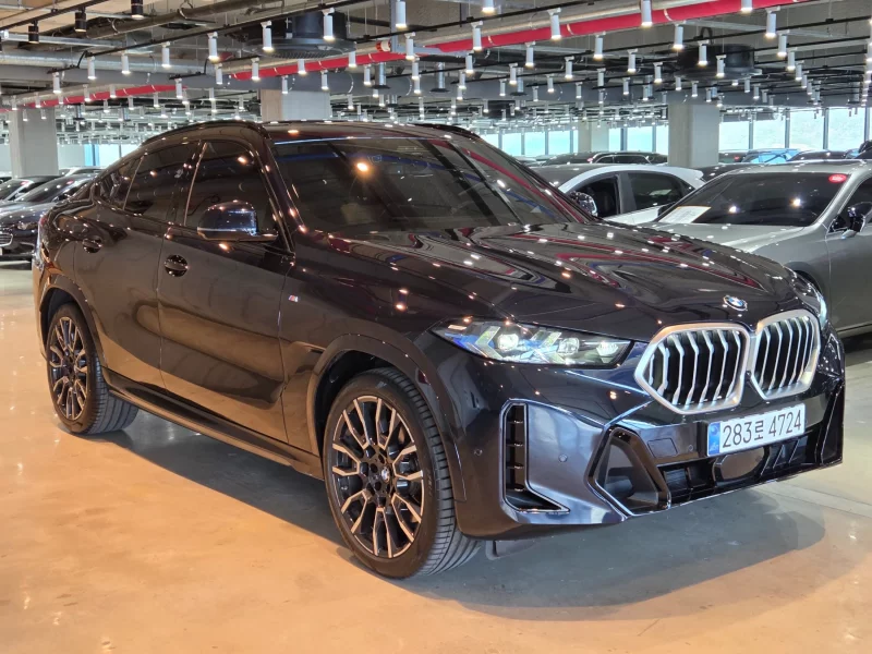 BMW X6