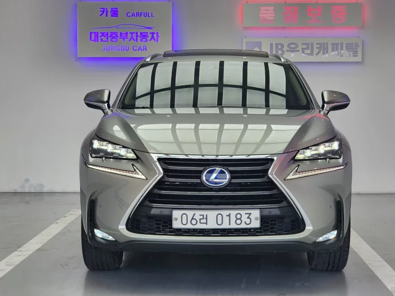 Lexus NX300h