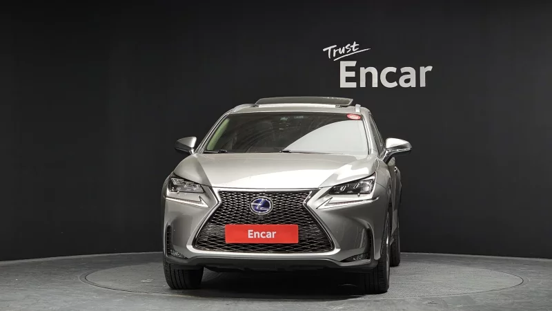 Lexus NX300h