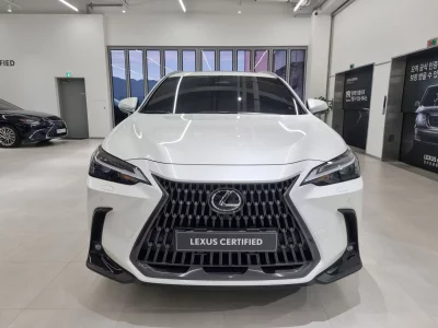 Lexus NX450h+