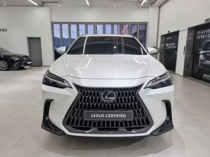 Lexus NX450h+