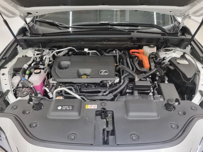 Lexus NX450h+