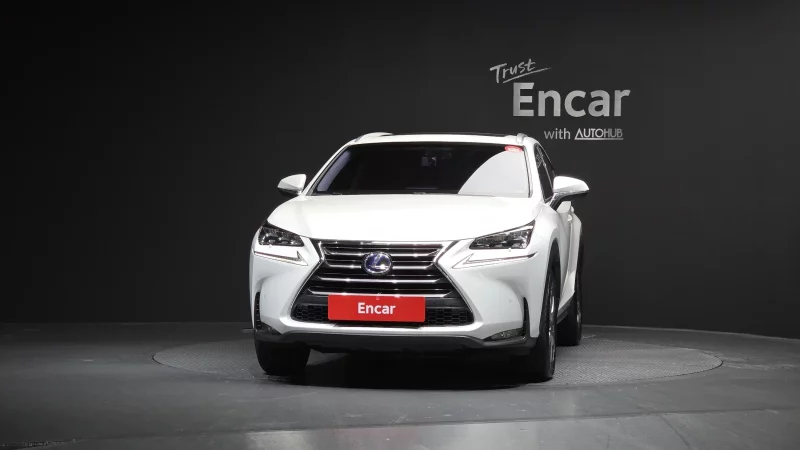 Lexus NX300h