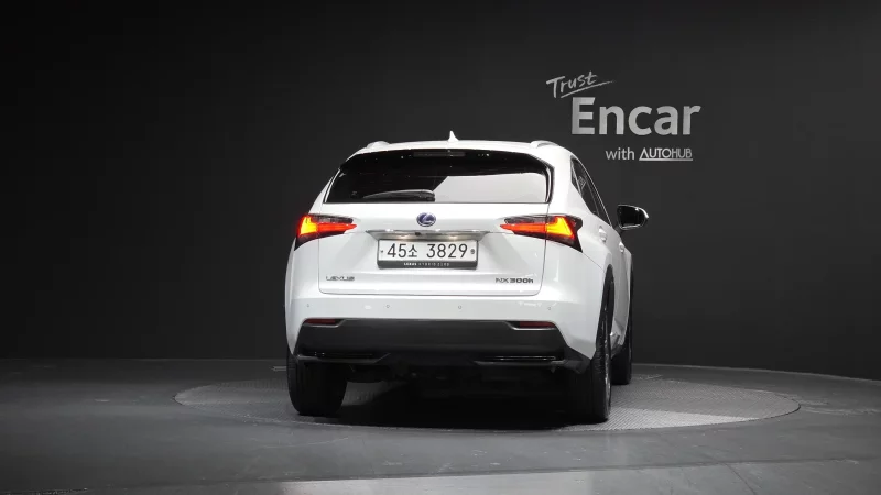 Lexus NX300h