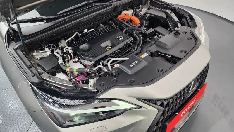 Lexus NX450h+