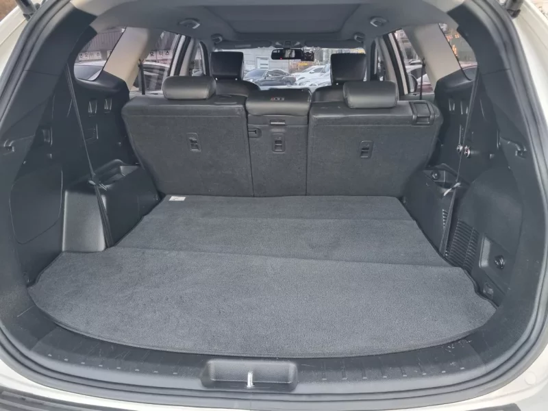 Hyundai Maxcruze