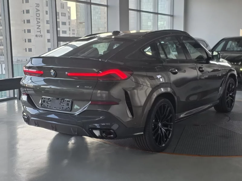 BMW X6