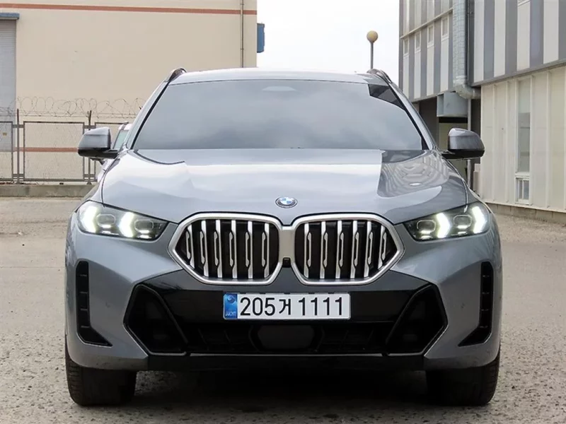 BMW X6