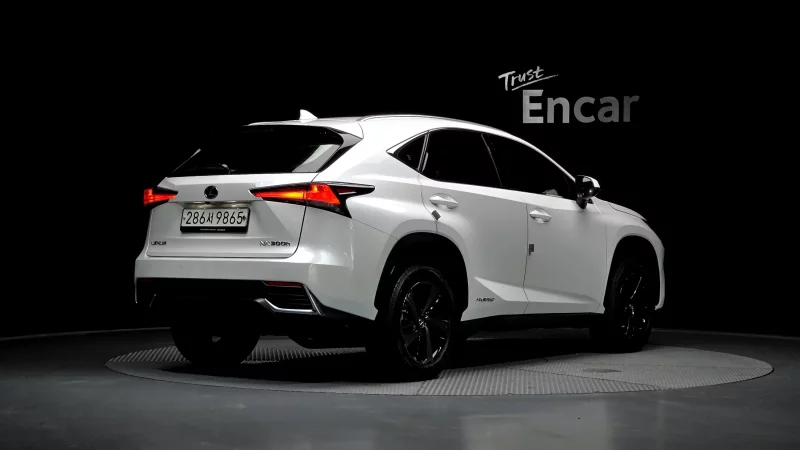 Lexus NX300h