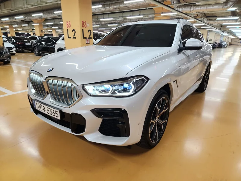 BMW X6