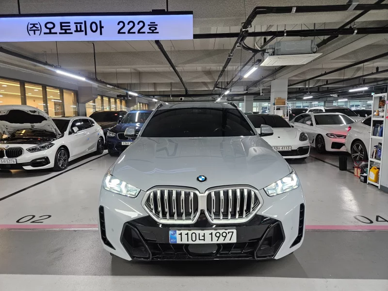 BMW X6
