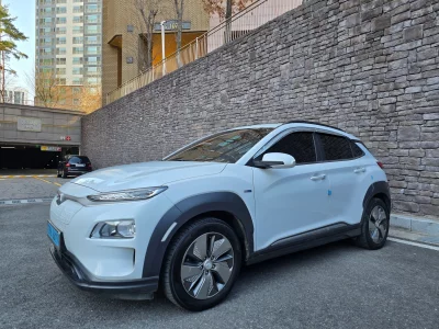 Hyundai Kona Electric