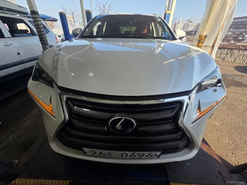 Lexus NX300h