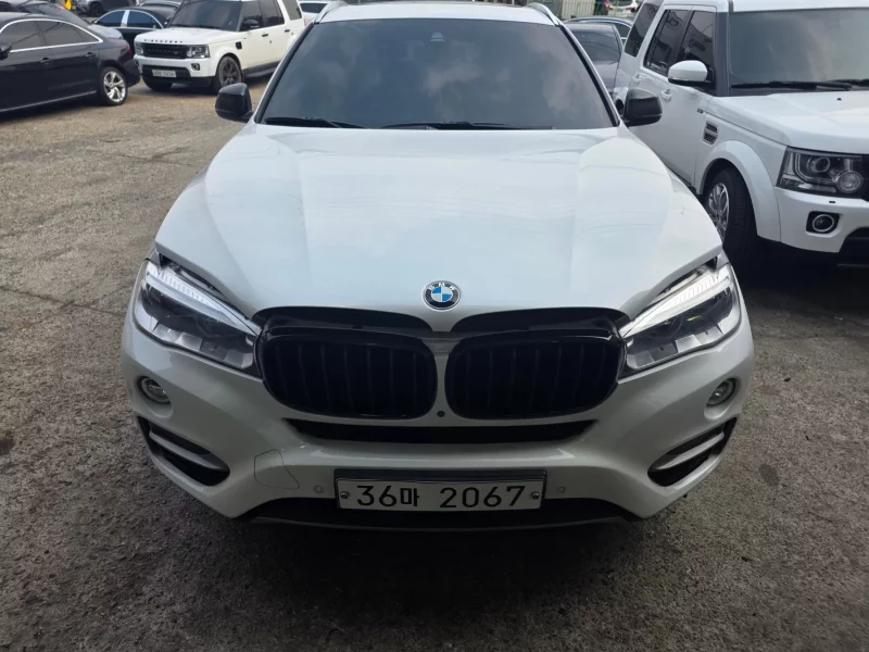 BMW X6