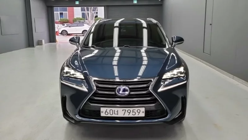 Lexus NX300h