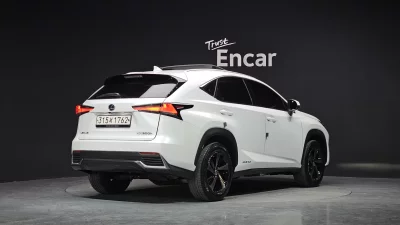 Lexus NX300h