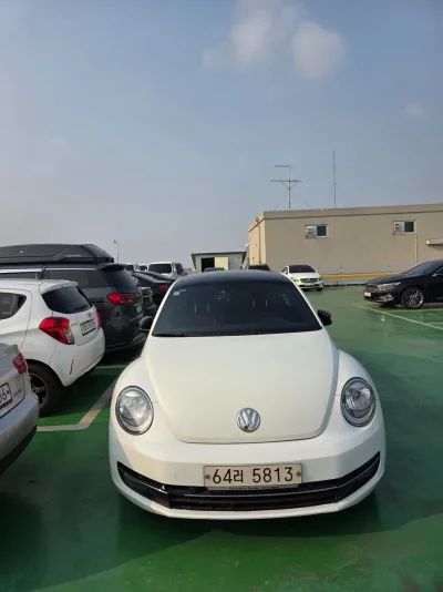 Volkswagen BEETLE