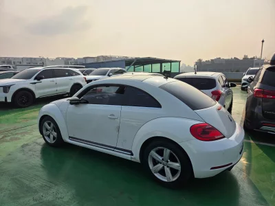 Volkswagen BEETLE