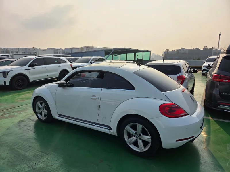 Volkswagen BEETLE